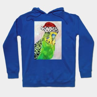 Santa Dean, my Budgie Hoodie